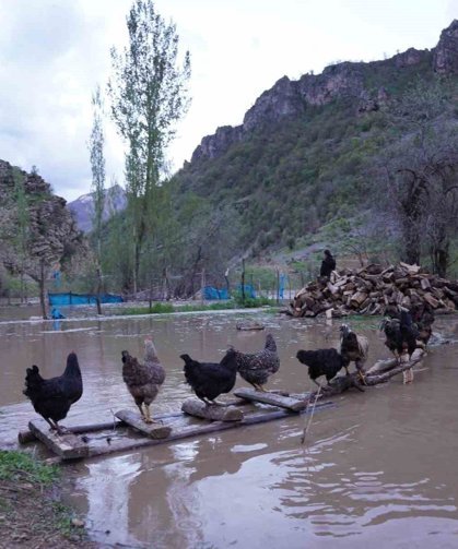 Şırnak'ta sel suları köprüleri yıktı, ev ve ahırlar sular altında kaldı