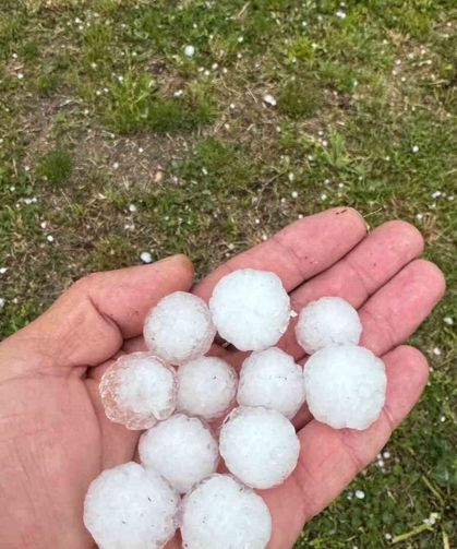 Sivas'ta fındık büyüklüğünde dolu yağdı, ağaçlar çiçek döktü
