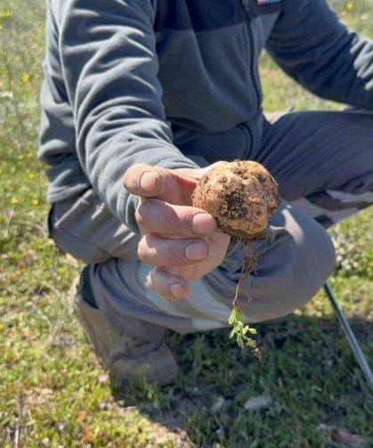 Topraktan gözünü ayırmadan 'dolaman' avı: 'Altın bulsam bu kadar sevinmem'