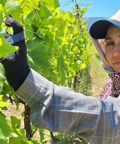 Üreticiler üzüm için zamana karşı yarışıyor
