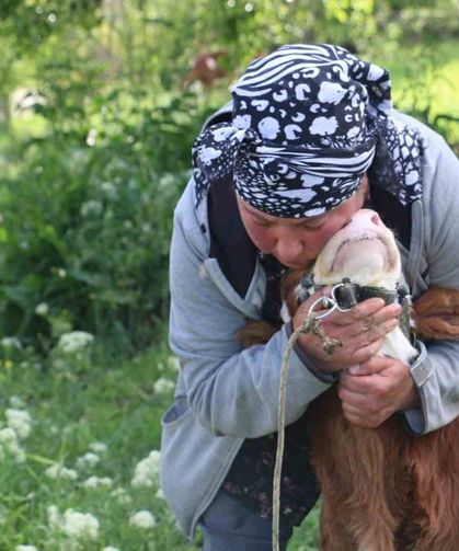 Üzümlü'de yabancı gelin hayvancılığa renk kattı
