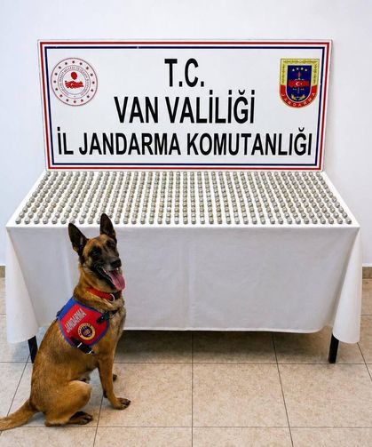 Van'da 8 İranlı'nın midesinde 3 kilo esrar ele geçirildi
