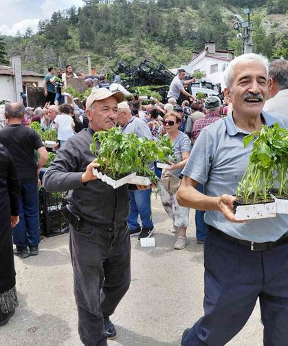 Bolu'da ücretsiz fide dağıtımına yoğun katılım