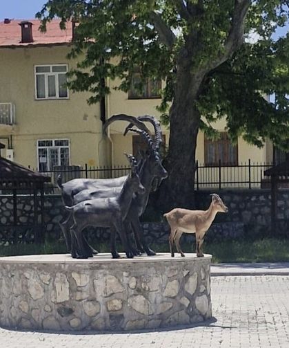 Çemişgezek'te tebessüm ettiren an: Gerçeği ve heykeli aynı karede