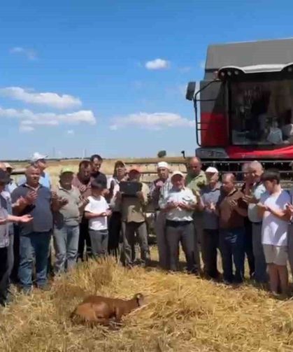 Edirne'de buğday hasadı dualarla başladı
