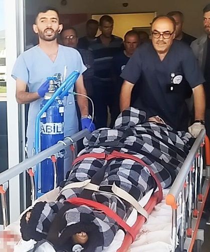 Hayvanlarını otlatırken ayı saldırısına uğradı, Kangallar imdadına yetişti
