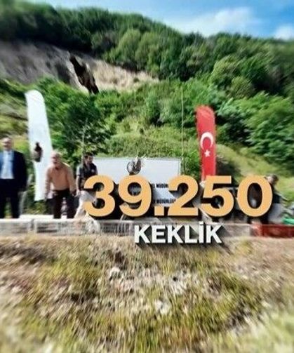 Kene ve kahverengi kokarcaya karşı doğal mücadele: 51 bin keklik ve sülün salınacak