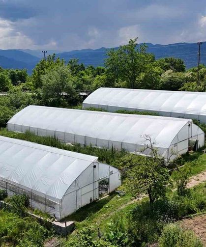 Ordu'da örtü altı üretim 68 bin metrekareye ulaştı