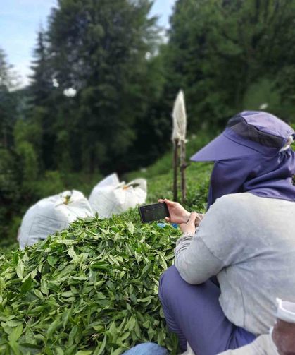 Rize'de çay bahçesinde milli maç heyecanı