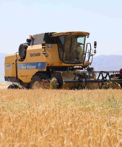 Yağışlar arpayı etkiledi: Rekoltede düşüş bekleniyor