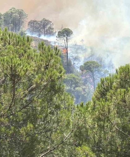 Balıkesir'deki yangın tekrar yayılıyor