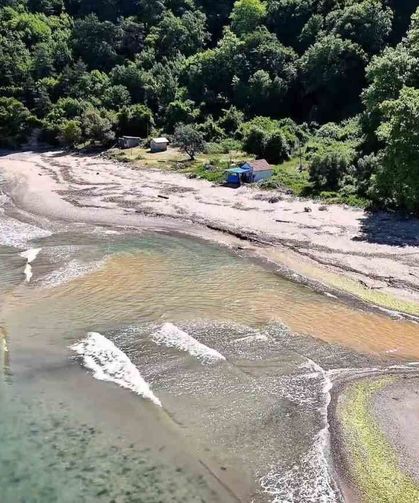 Bu plajdakiler 10 adımda il değiştiriyor