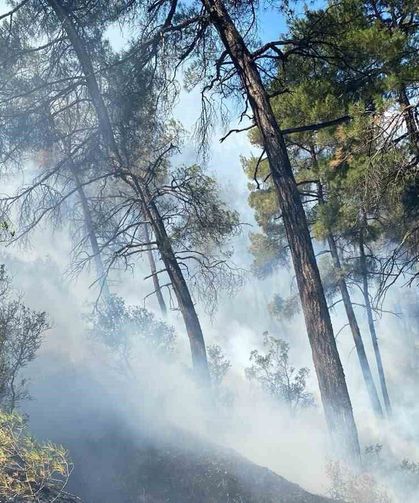 Bursa'daki orman yangını söndürüldü, soğutma çalışmaları sürüyor