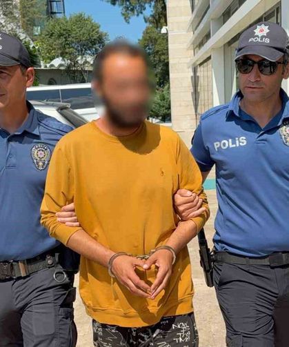 Kediye tekme atan şahıs tutuklandı: 'Sinirliydim, pişmanım'