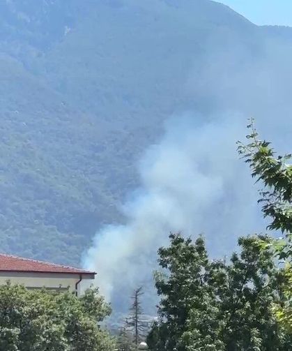 Kestel'de orman yangını