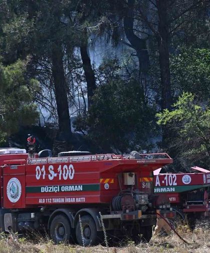 Osmaniye'de orman yangını kontrol altına alındı, soğutma çalışmaları sürüyor