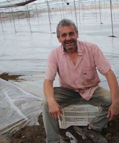Seralarda yeni sezon üretim için solarizasyon dönemi başladı