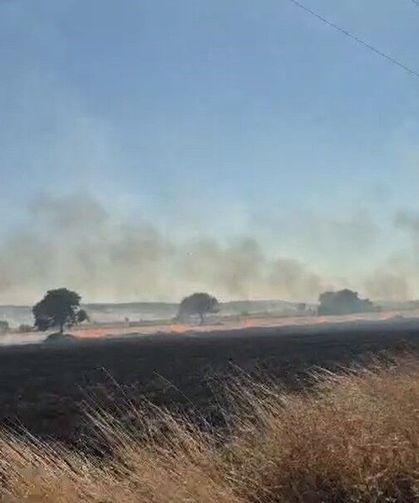 Seyitgazi'de çıkan yangın 3 köyün ovalarına yayıldı, ormana doğru ilerliyor