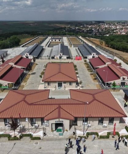 Tekirdağ'da 5 binden fazla sahipsiz hayvana umut oldular