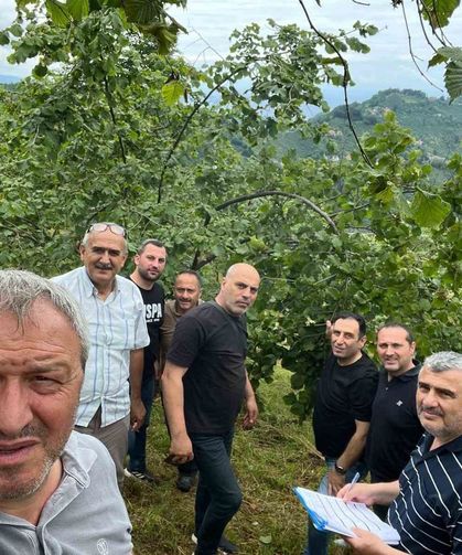 Trabzon'da fındıkta rekolte tespiti çalışmaları başladı