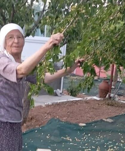 85 yaşındaki çift, geleneksel yöntemlerle dut pekmezi üretimini sürdürüyor