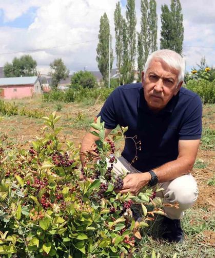 Aronya ile ilçeyi kalkındıracaklar