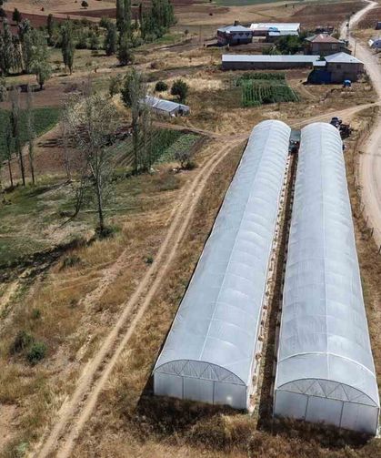 Baba-kız bin 500 rakımda sera kurup domates yetiştirmeye başladılar