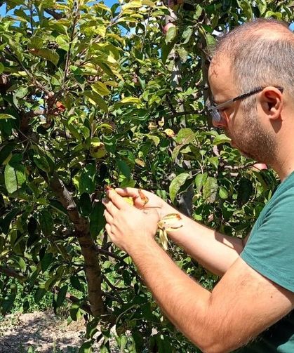 Beyşehir'de tarım arazileri yakın takipte
