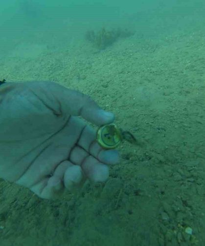 Bodrum'da deniz dibinden çıkanlar şaşırttı: Torba sahilinden 75 kilo atık çıkarıldı