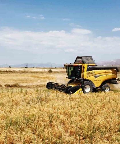 Borsa-20 nohut çeşidinde ilk hasat heyecanı yaşandı