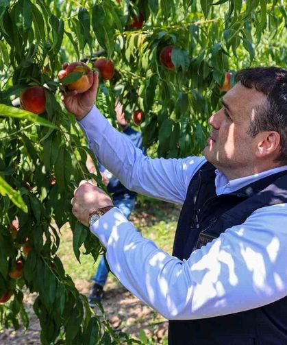Bu nektarinin tamamı yurtdışına gönderiliyor