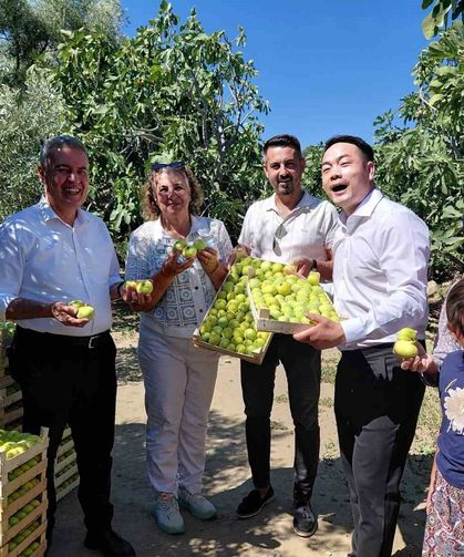 Çinli fenomen çift Aydın incirine hayran kaldı