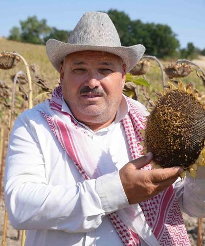 Edirne'de ayçiçeği üreticisinin yüzü bu yıl verimle güldü