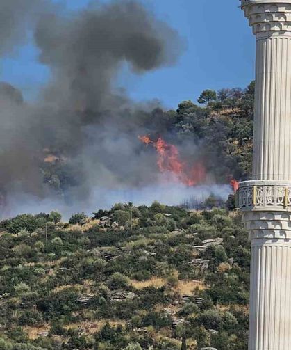 Gebze'de orman yangını başladı