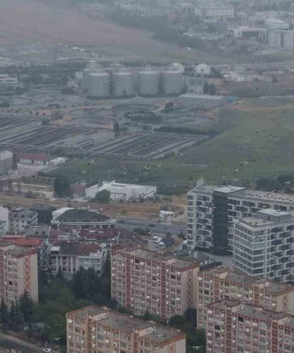 İstanbul'da yaz günü kış havası: Leylekler göç yolunda