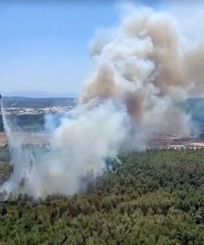 İzmir Buca'da orman yangını çıktı