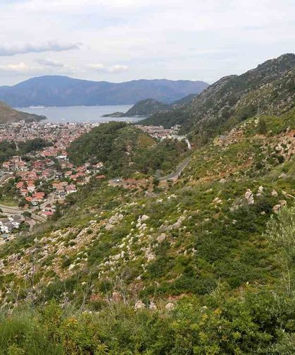 Kara tablo 5 yılda yeşile döndü