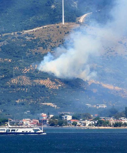 Marmara Adası'nda orman yangını başladı