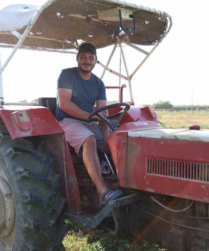 Aydın'da yonca hasadında verim yüzleri güldürdü