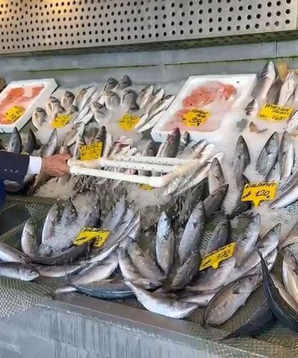 Balık sezonu bereketli başladı: Hamsi 200, palamut 100 liradan başlıyor