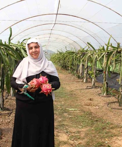 'Burada yetişmez' diyenlere inat üretime başladı, 1 tonun üzerinde ürün bekliyor