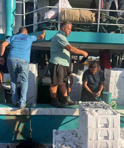 Hamsi avında kota dönemi başladı, denetimler sürüyor