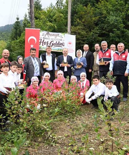 Kastamonu'da aronya hasadı başladı