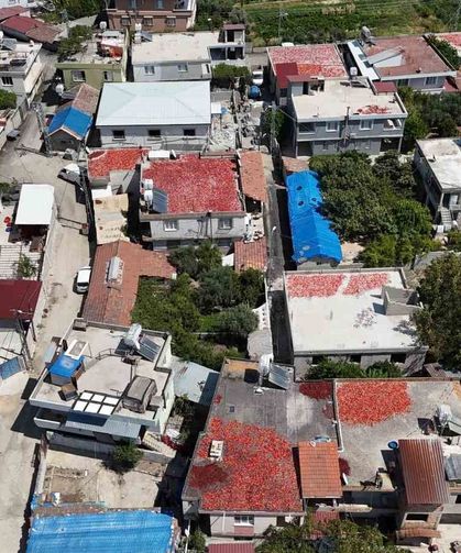 Kavurucu sıcakta devam eden acı mesaiyle birlikte damlar kırmızıya büründü