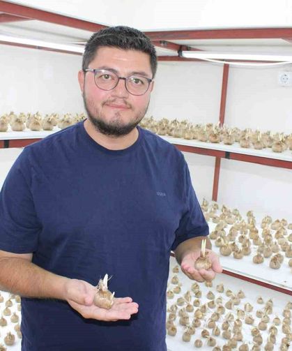'Kayseri'de yetişmez' denildi, girişimci başardı
