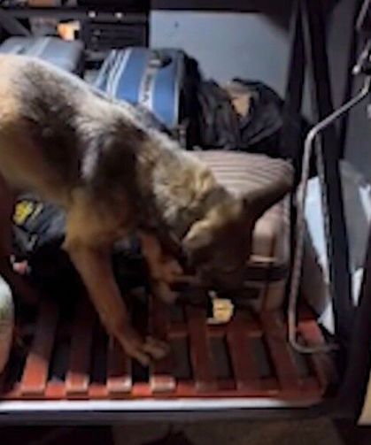 Kayseri'de yolcu otobüsü operasyonu: 3 kilo 420 gram uyuşturucuyla yakalanan 2 şüpheli tutuklandı