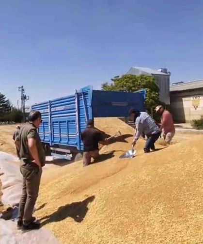 Konya'da TMO'dan 2 milyon tona yakın hububat alımı