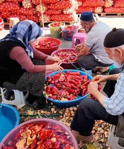 Niğde'de kışlık salça mesaisi başladı