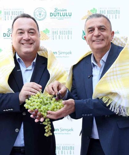 Şehzadeler'de 4 gün sürecek bağ bozumu coşkusu başlıyor