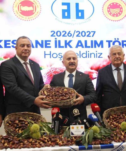 Aydın kestanesinde sezonun ilk ürünü 600 TL'den alındı
